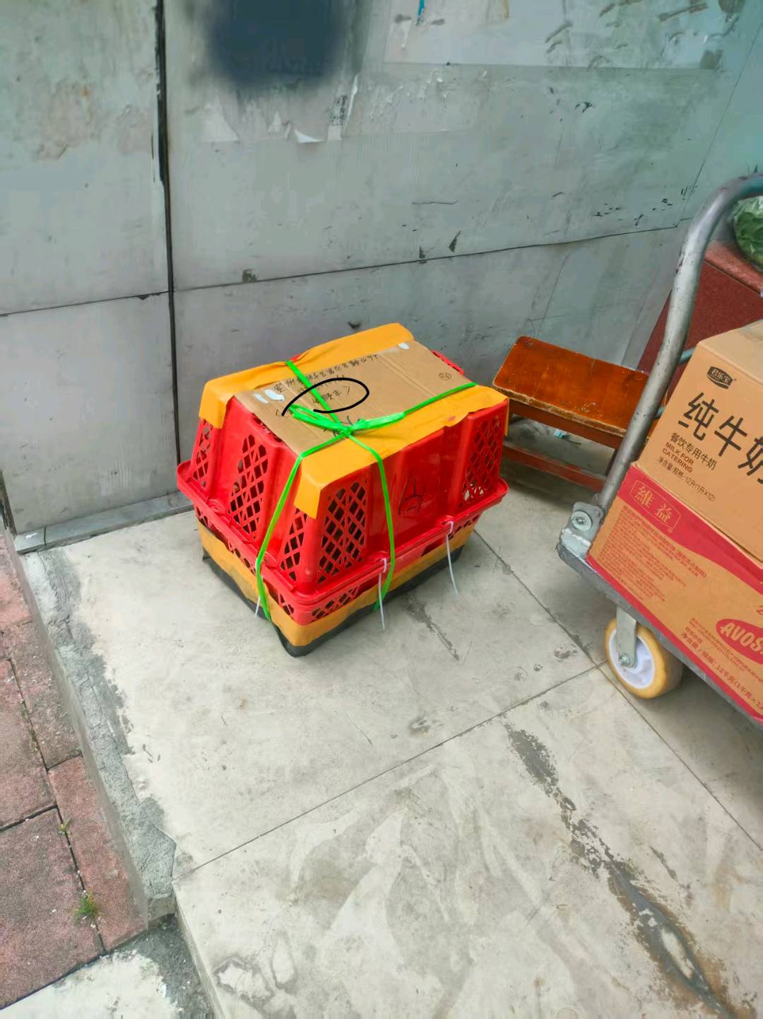 视频